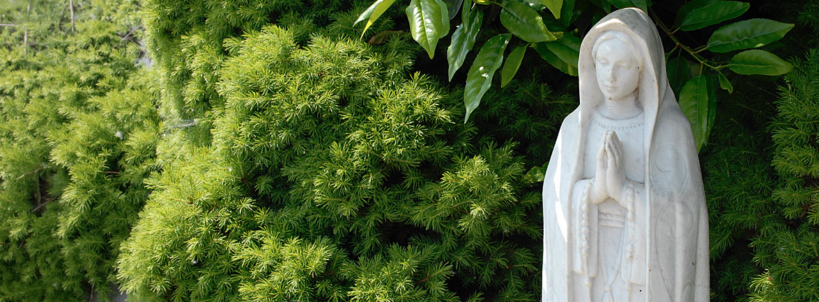 SPCC-Tablet-header-About-us